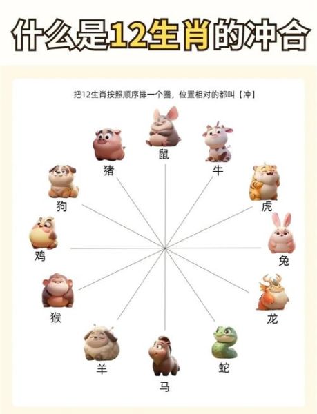生肖属相合冲
