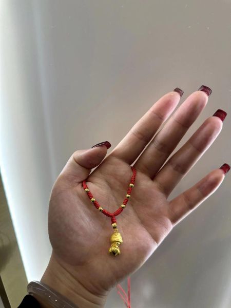 生肖属相挂件项链（生肖属相挂件项链佩戴禁忌）