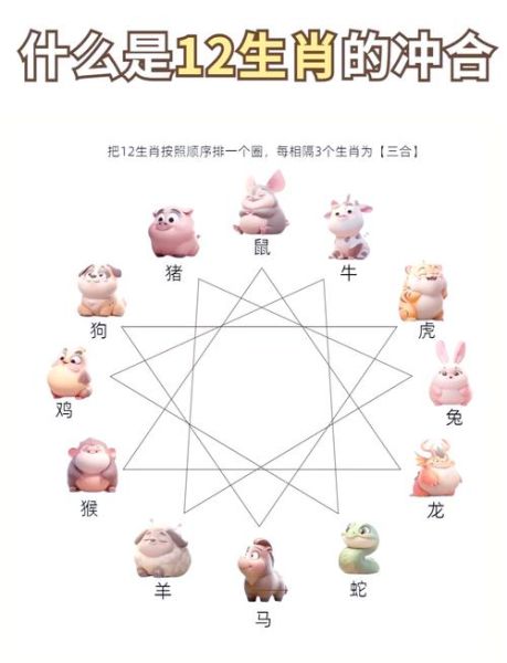 属相龙和什么生肖合（属相龙和什么生肖合？新手配对攻略）