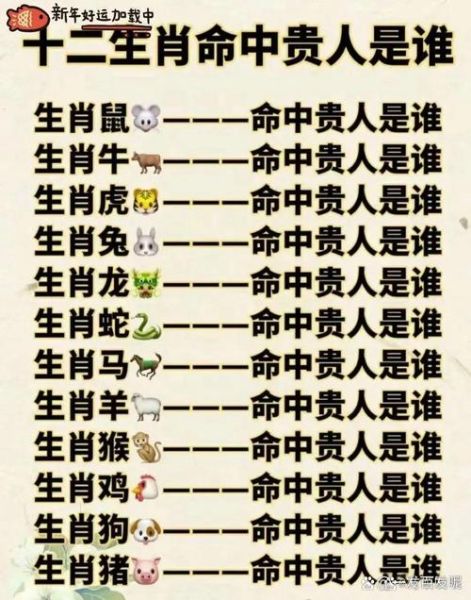 十九岁人属相是什么生肖（十九岁今年属什么生肖）