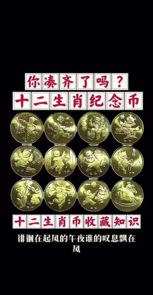 生肖币怎么配属相（生肖币怎么配属相🔥小白入门指南）