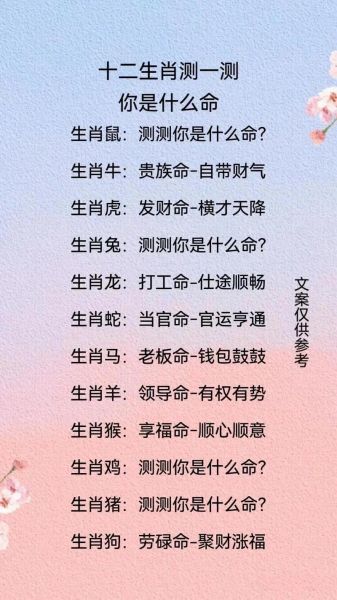 十二生肖属相命运（十二生肖属相命运对照表详解⭐）