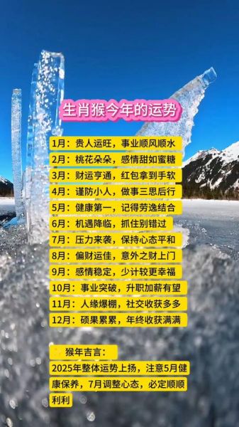 属相猴生肖运势（属猴今日运势查询完整版）